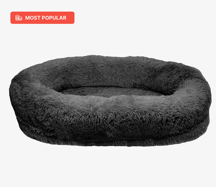 Dog bed for humans